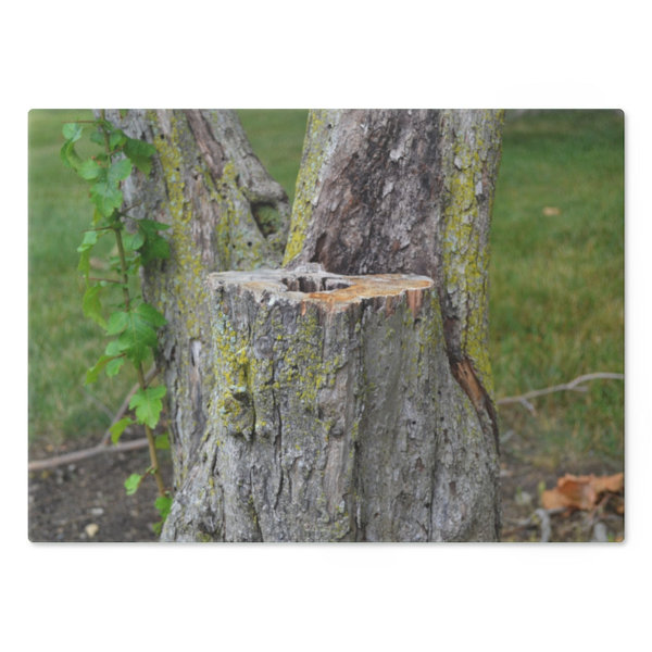 Marick Booster Tree Stump Cutting Board Wayfair